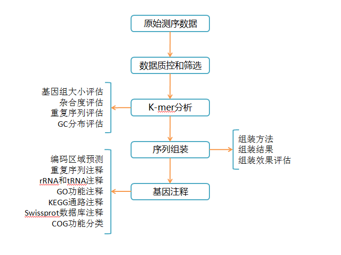 测序流程图