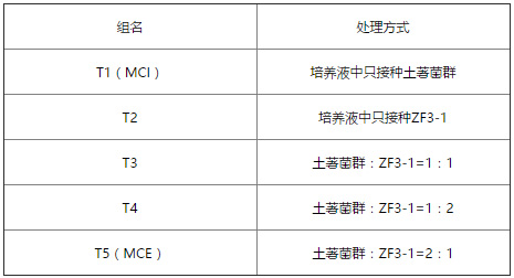 未命名-1.jpg