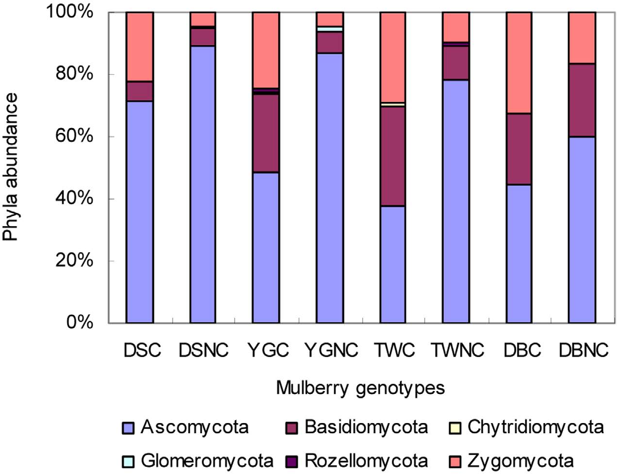 覆膜（C）和不覆膜（NC）的易感品种DS和抗病品种YG、TW、DB在门水平的不同物种组成