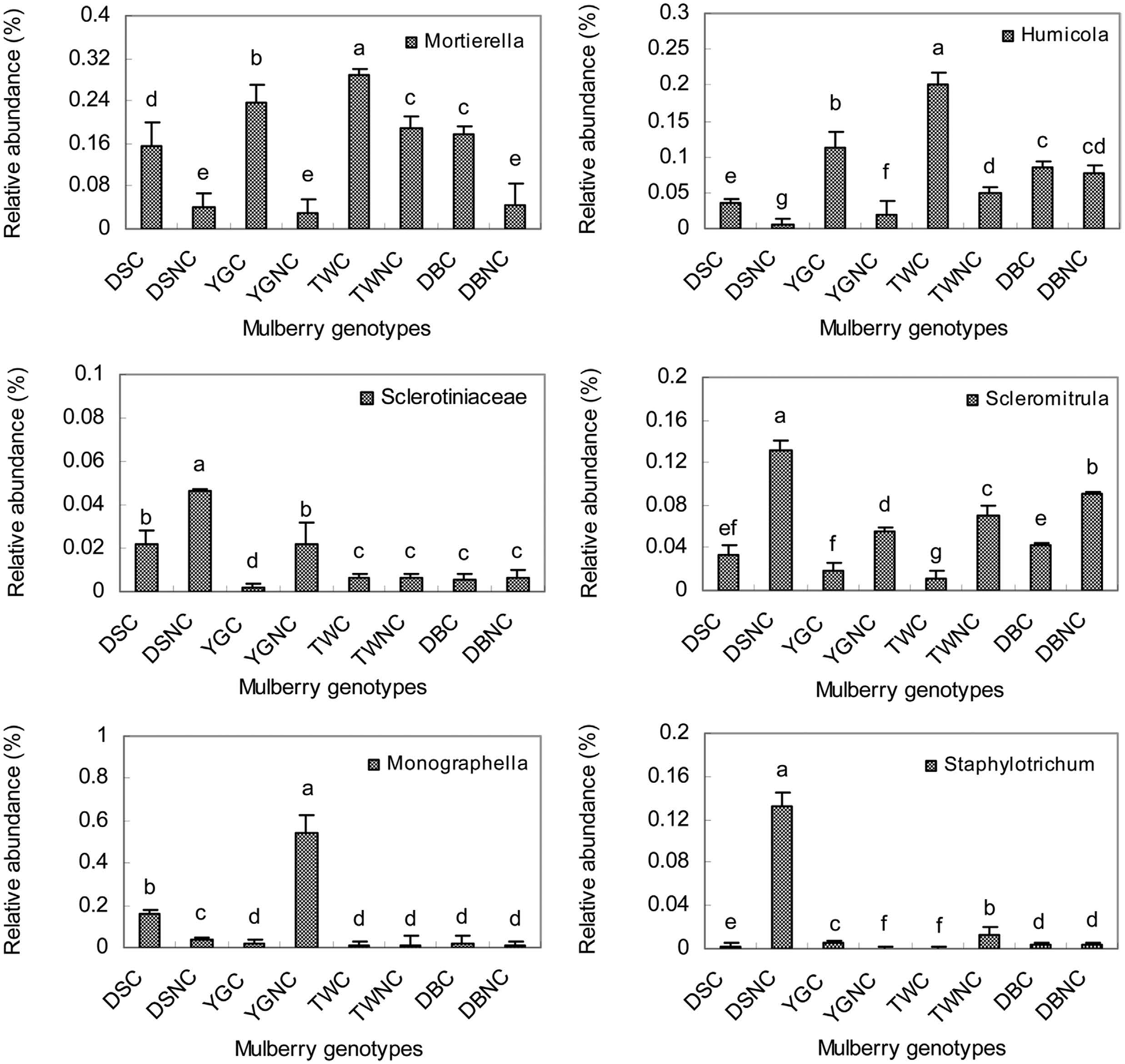 覆膜（C）和不覆膜（NC）的易感品种DS和抗病品种YG、TW、DB的Mortierella（a）、Humicola（b）、Scedosporium（c）、Scleromitrula（d）、Monographella（e）、Staphylotrichum（f）的相对丰度