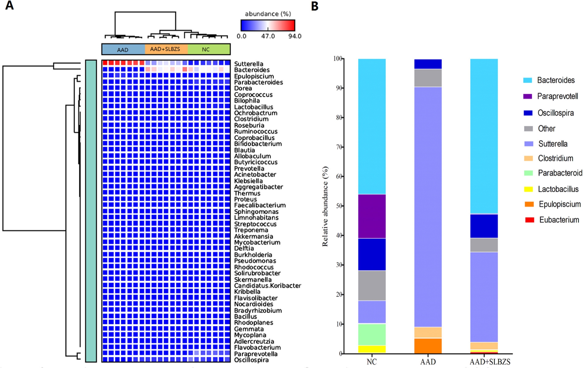 属水平的肠道菌群组成分析