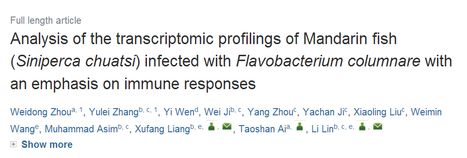 文章发表周刊截图