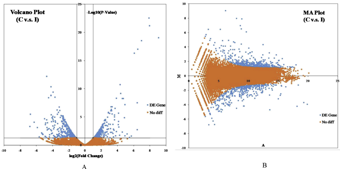 差异基因的火山图与MA图