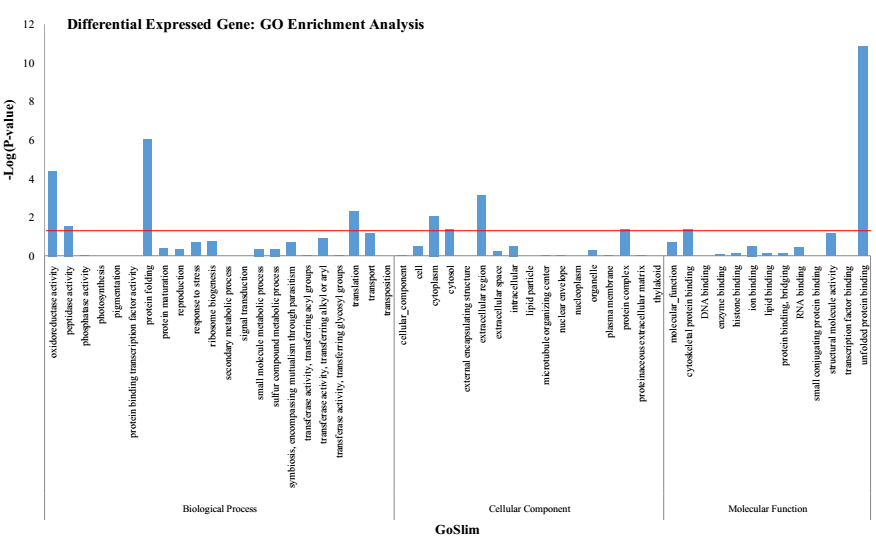  表达差异基因的GO富集分析图