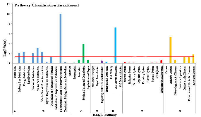 表达差异基因的KEGG富集分析图