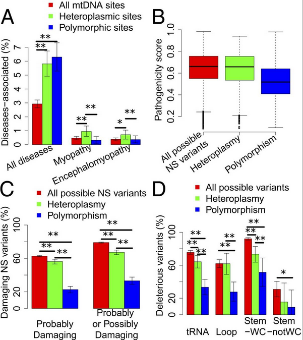 动物线粒体全基因组测序之mtDNA 异质性分析