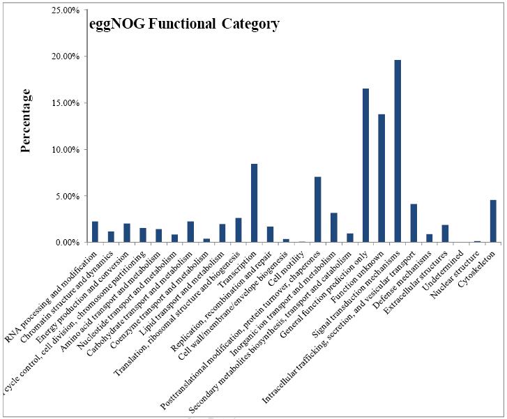 转录组测序之大黄鱼eggNOG基因功能注释图