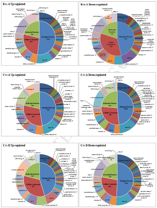 转录组测序之大黄鱼差异基因的GO富集分析图