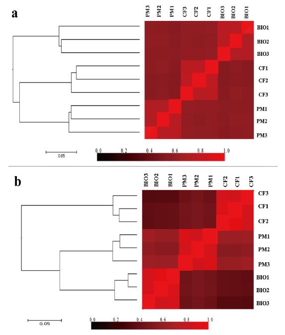 森诺生物与南京农业大学再次合作： 发表香蕉树根际微生物群落结果分析图