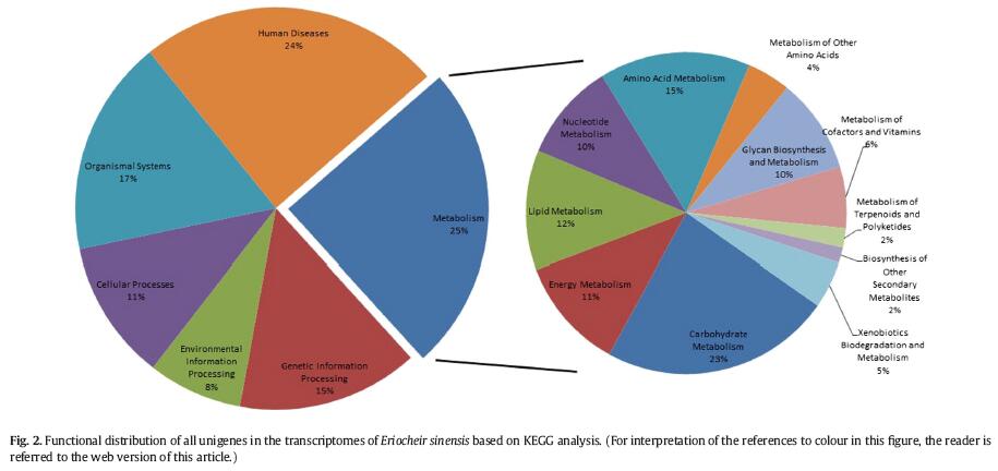 中华绒螯蟹转录组测序扇形图