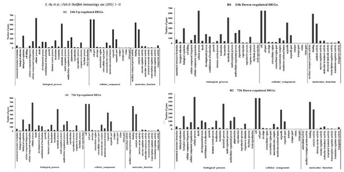 鳜鱼转录组测序表达差异基因GO富集分析鳜鱼转录组测序GO基因功能注释柱状图柱状图