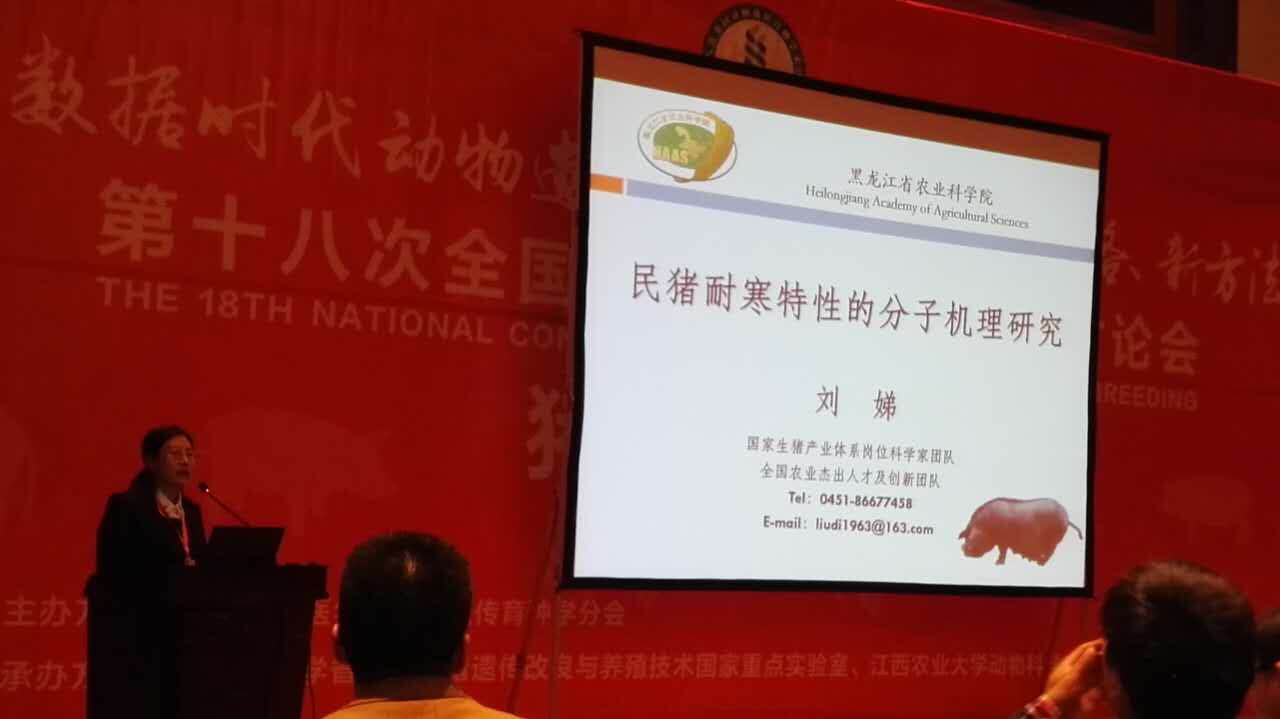 刘娣老师演讲现场