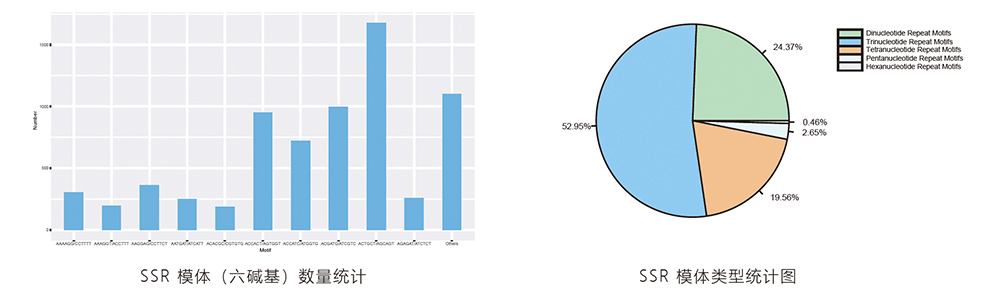 SSR分子标记开发分析结果.jpg