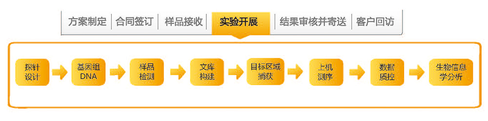 目标区域捕获测序技术路线.jpg