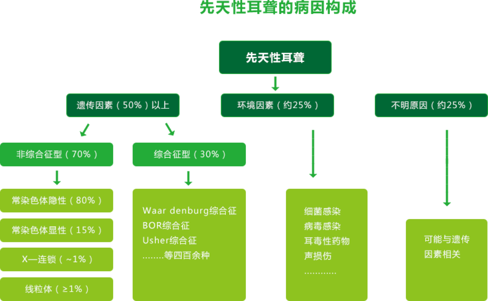 耳聋基因检测突变gdp_耳聋基因检测结果(3)