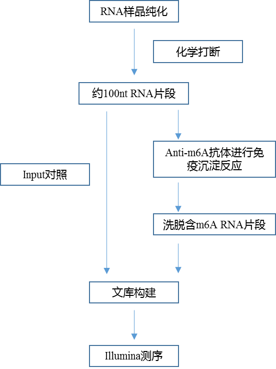 RNA甲基化技术路线.png