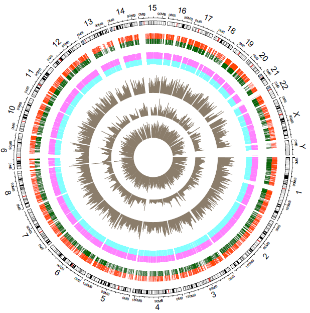 Peaks位点在基因组序列上的分布.png