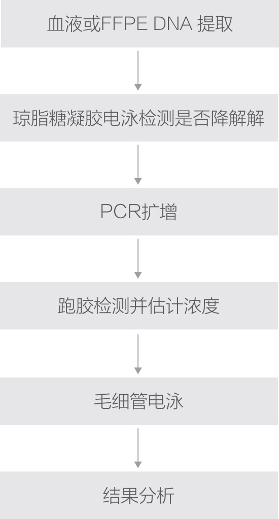 MSI微卫星技术路线.jpg