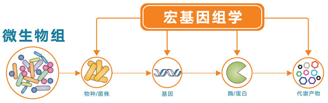 宏基因组测序1.jpg