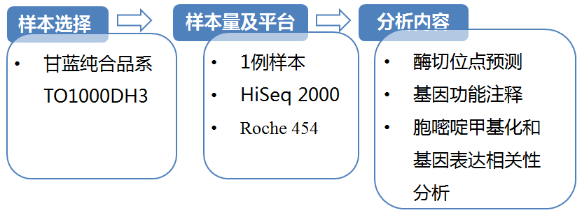 全基因组甲基化2.png
