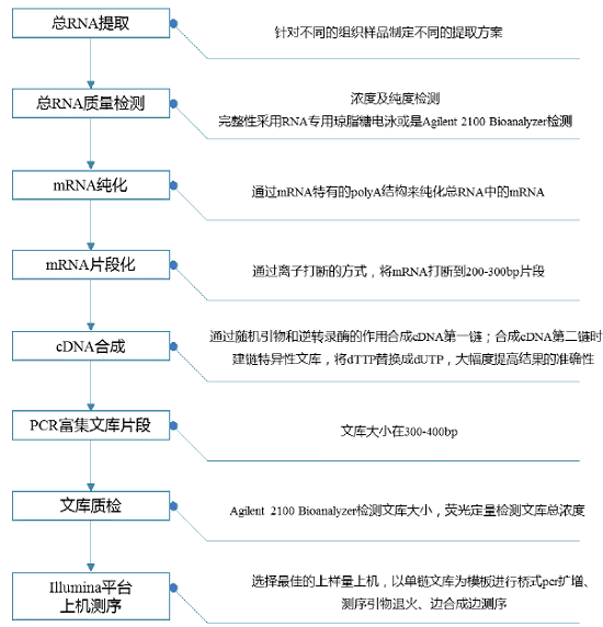 真核无参转录组测序1.png