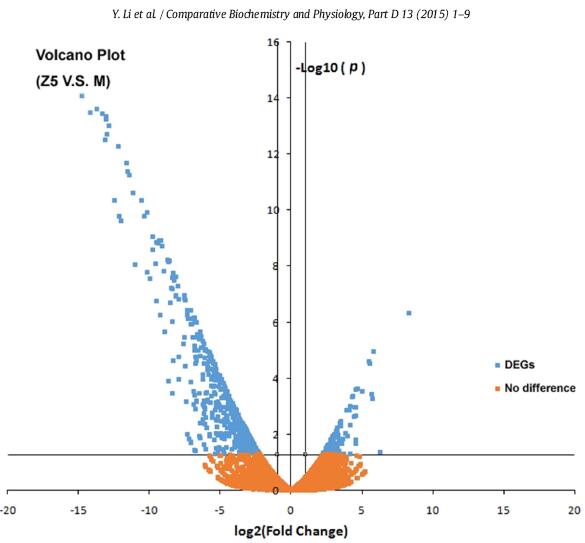 中华绒螯蟹转录组测序散点图