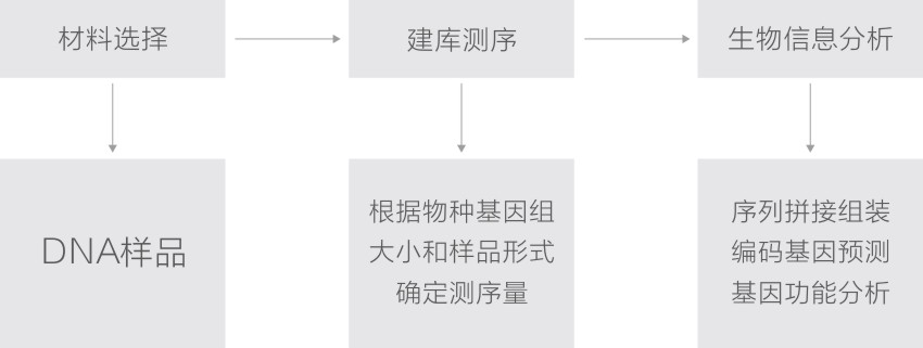 线粒体技术路线.jpg