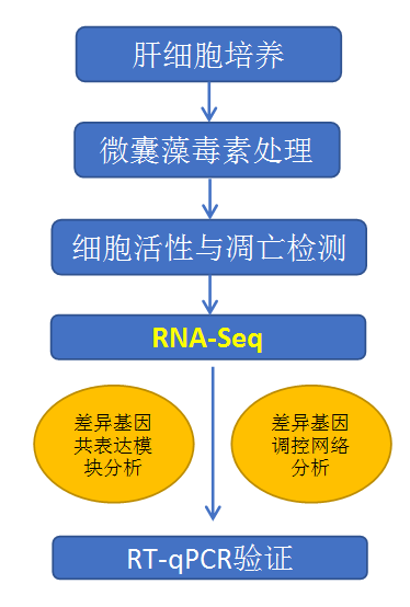 图4.png