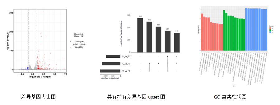 捕获2.JPG