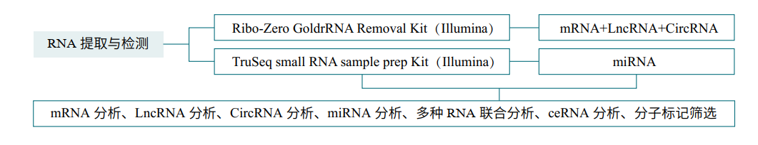 项目流程.png