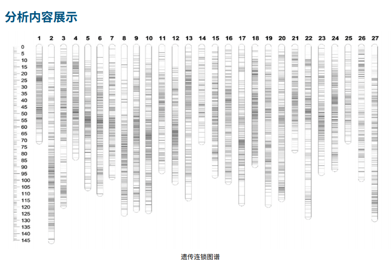 分析内容展示.png