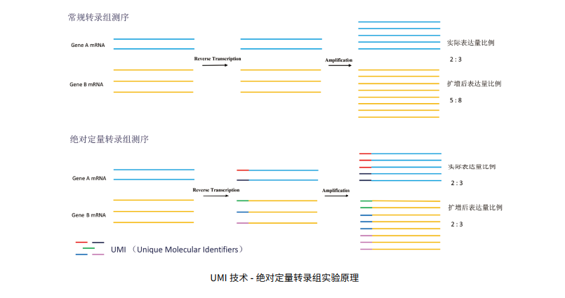 产品介绍2.png