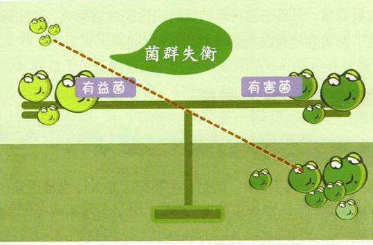 89c703c4d3174cfa988854957cbf22d0.jpeg