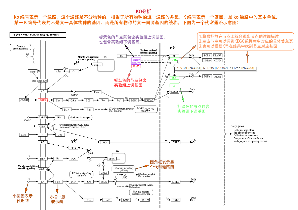 图片16.png