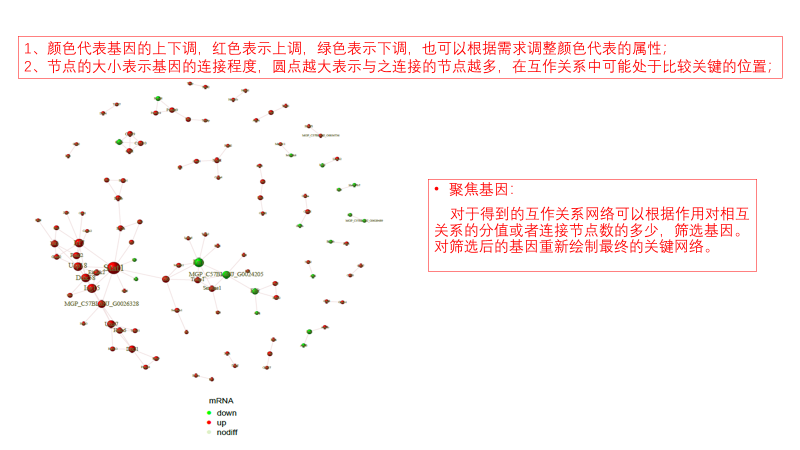 图片17.png