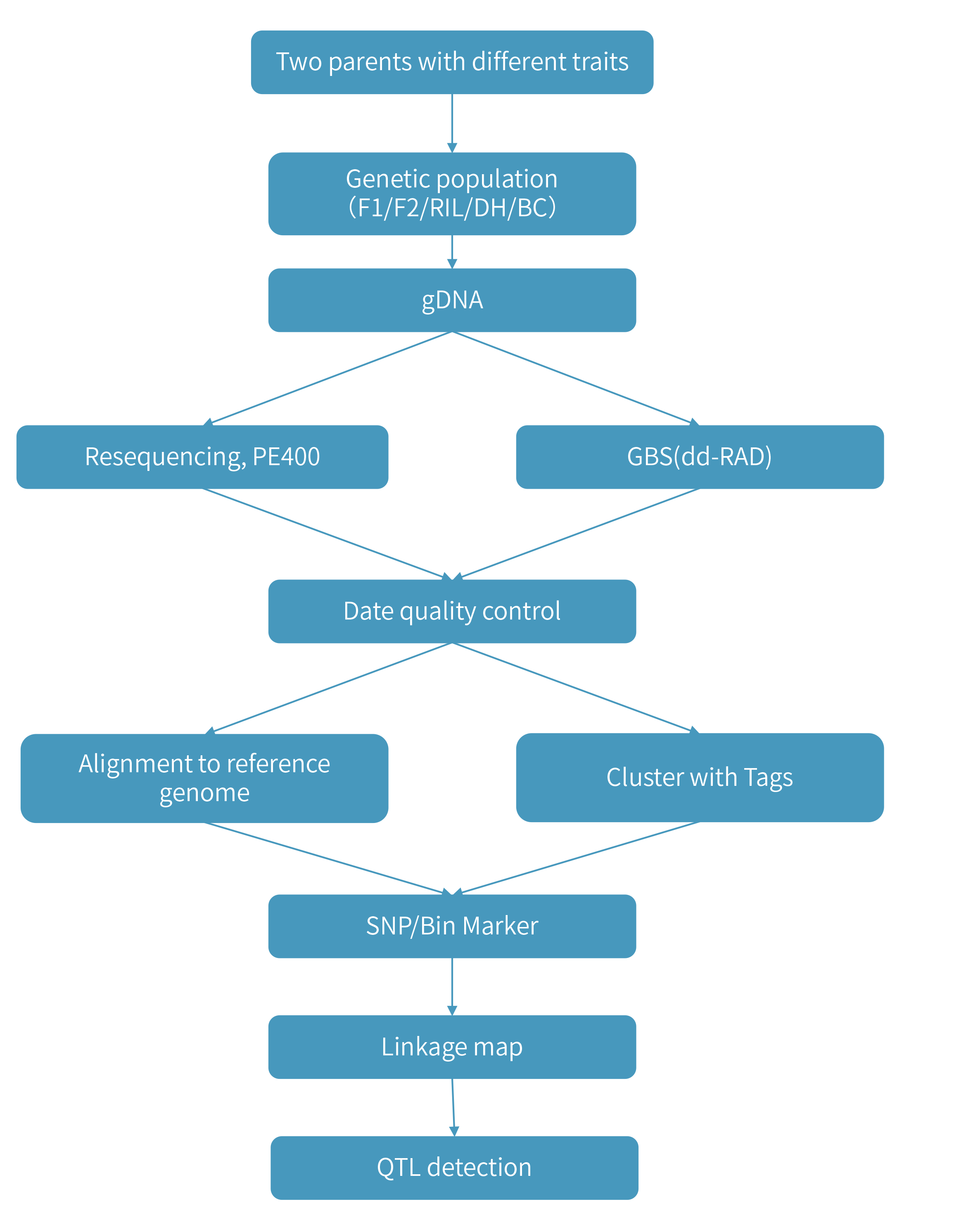 Genetic Linkage Map技术路线.png