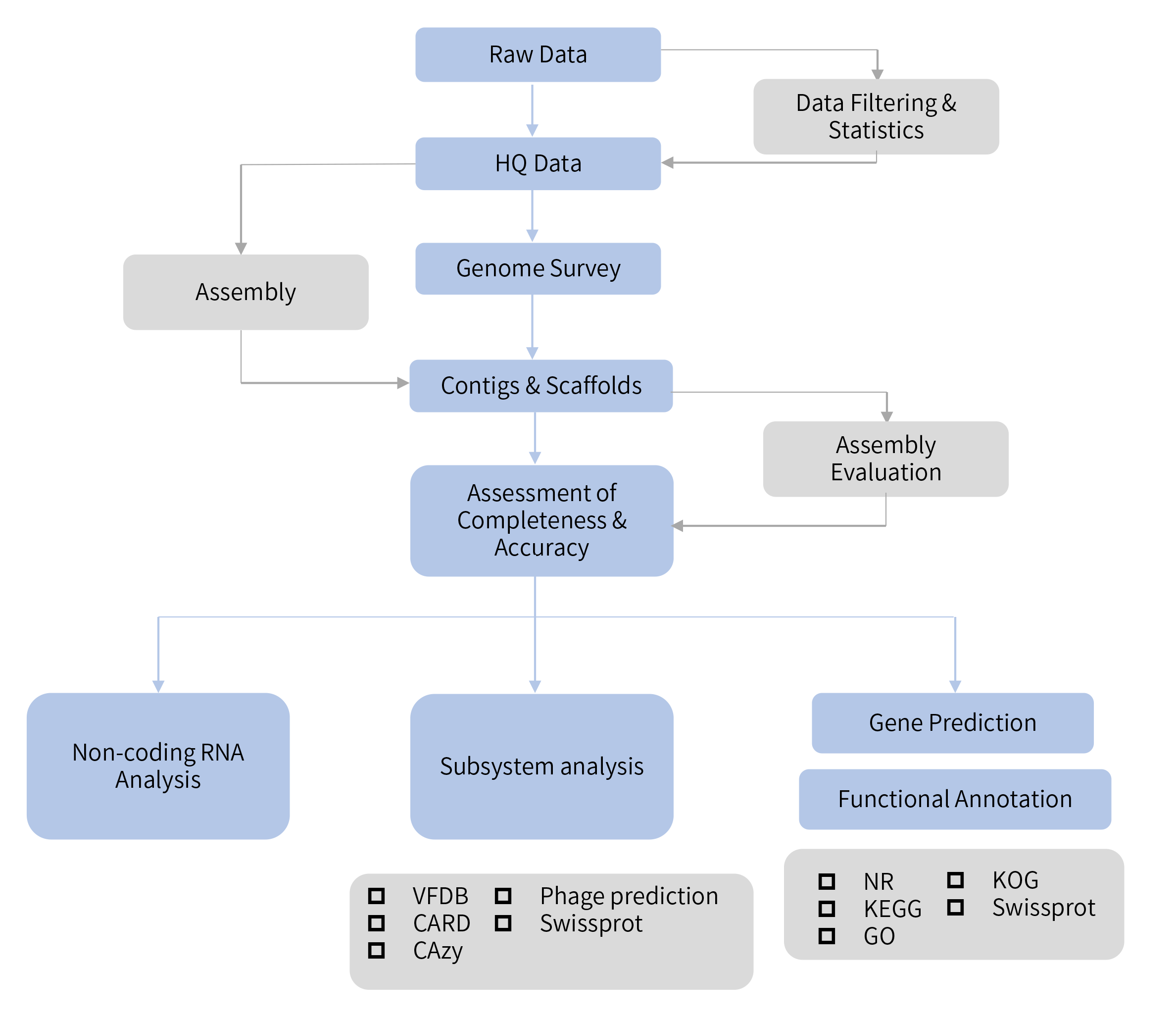 Bacteria de novo sequencing-技术路线1.png