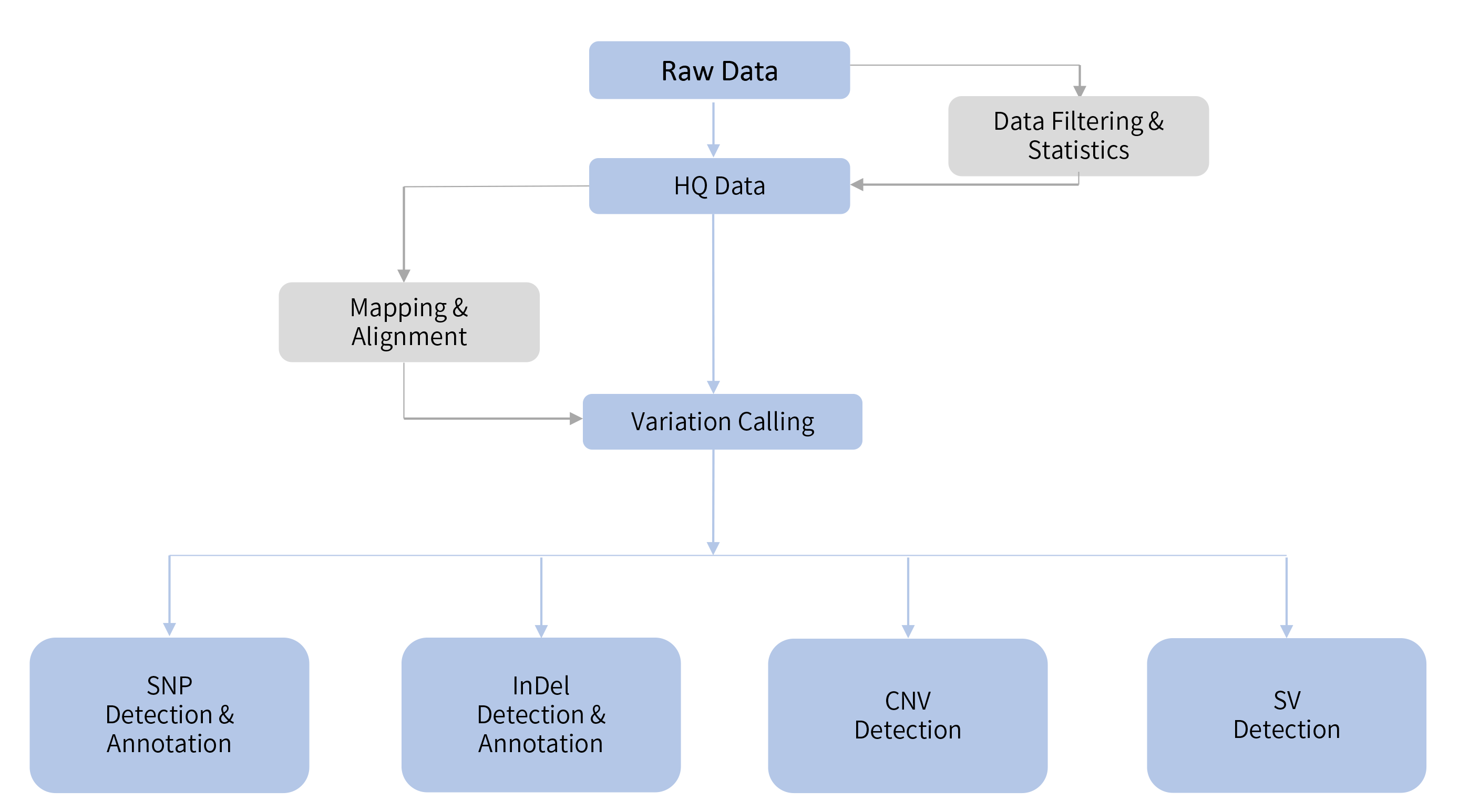 Fungus resequencing-技术路线.png