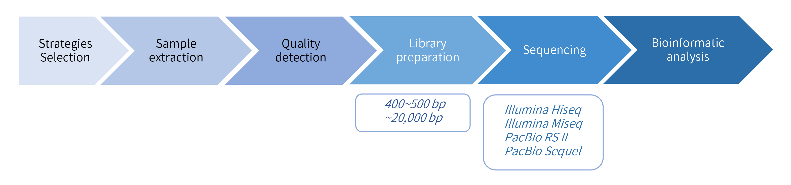 Plasmid sequencing-项目流程.png