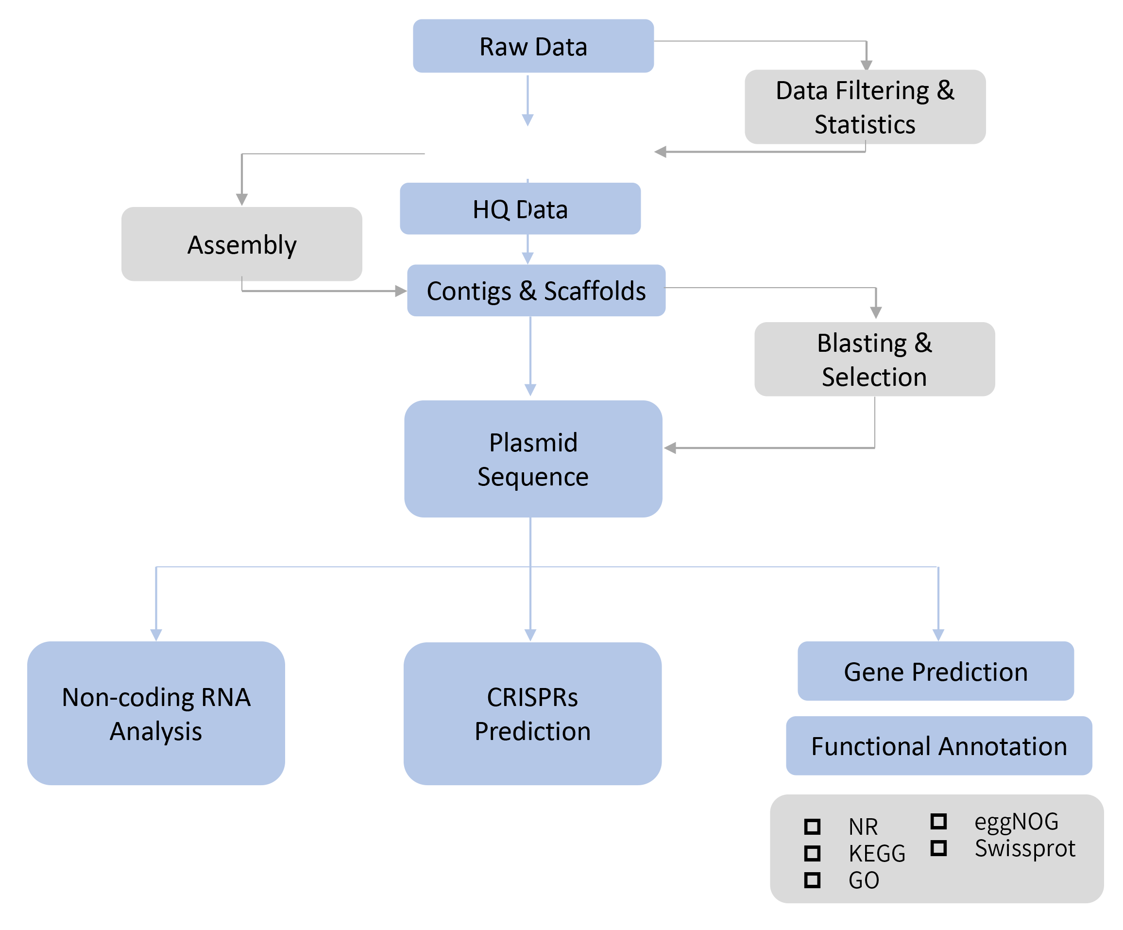 Plasmid sequencing-技术路线.png