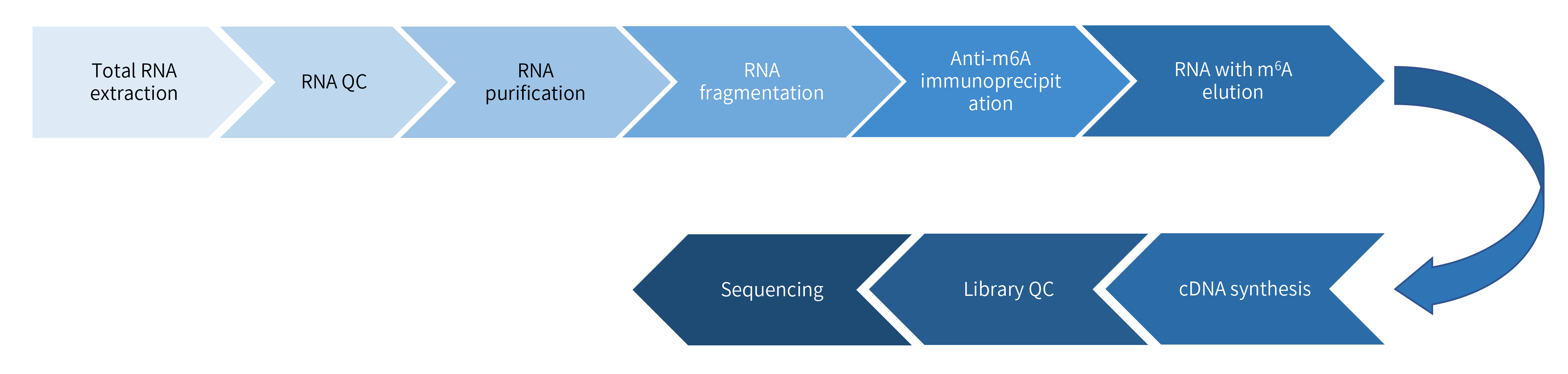 RNA 甲基化-技术路线.png