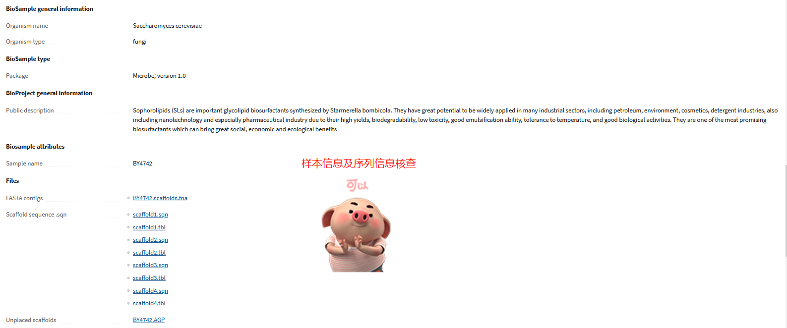 图片24.png