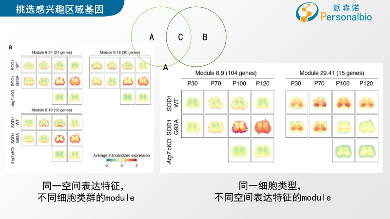 图片50.png