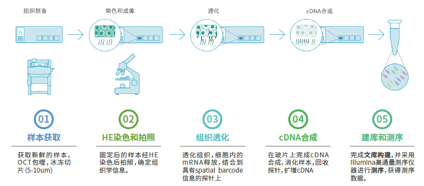 图片 5.png