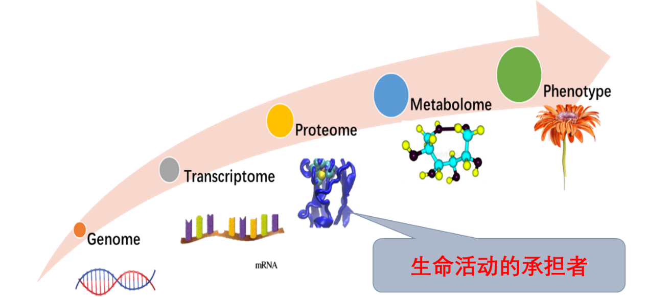 图片13.png