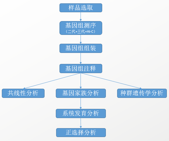 图片2.png