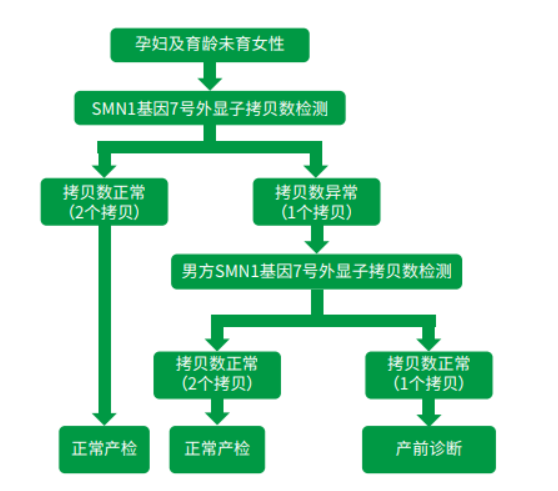 图片5.png