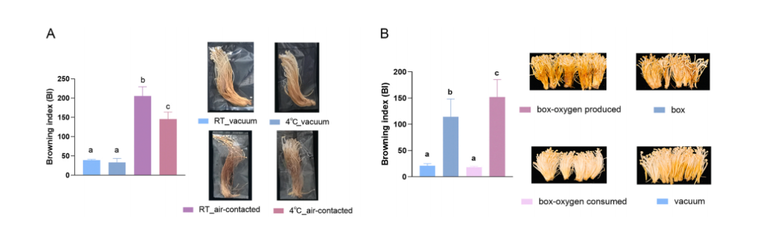 30bbde5046898f94944cfa94e6ae58c6.png 30bbde5046898f94944cfa94e6ae58c6.png