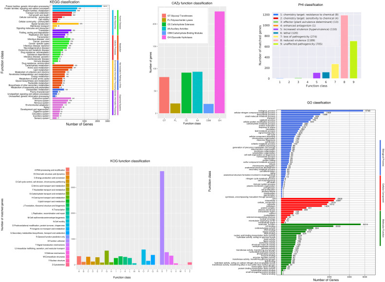 3f6513afa4403316ad5609dadd894d3a.png 3f6513afa4403316ad5609dadd894d3a.png