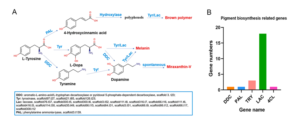 6650213e9209fe695d6a20dd84a4a16b.png 6650213e9209fe695d6a20dd84a4a16b.png